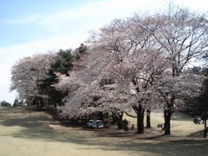 20090403