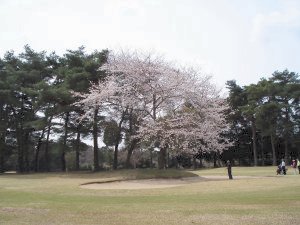 20090405