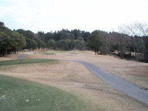 20091217