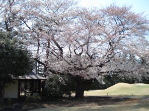 20090403