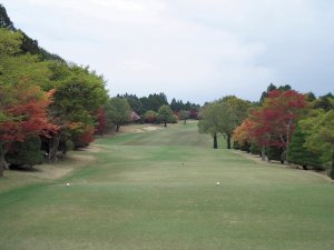 20090420