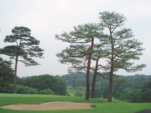 20090609