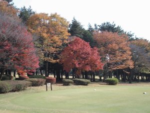 20091129