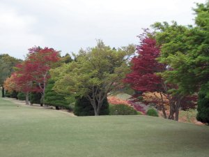 20090420