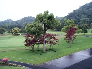 20090605
