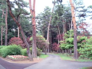 20090609