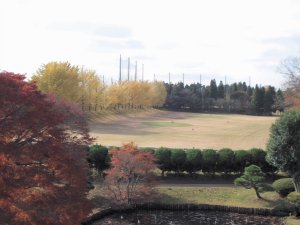 20091129