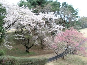 20090405