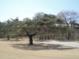 20090409