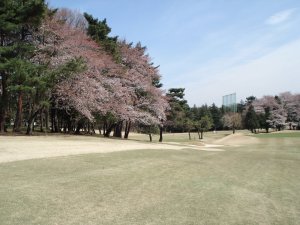 20090403