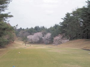 20090405