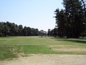 20090428