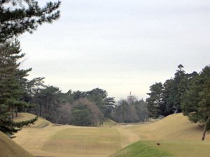20091209