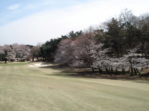 20090403