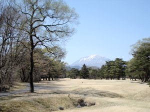 20090409