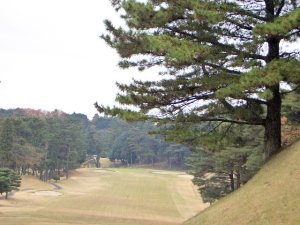 20091209
