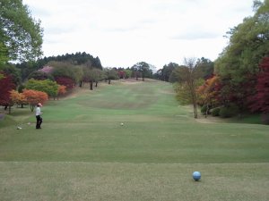 20090420
