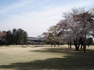 20090403