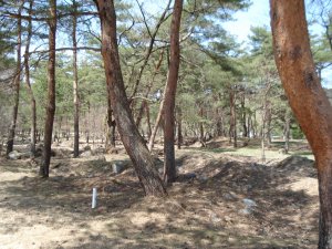 20090409