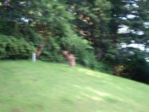 20090716