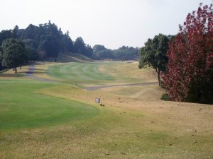 20091101
