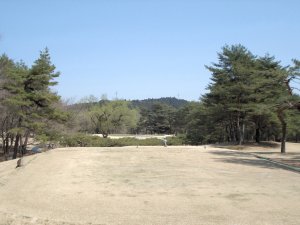20090409
