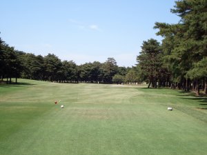 20090428