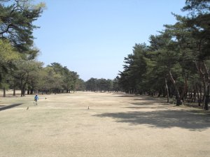 20090409