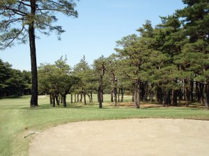 20090428