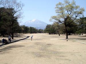 20090409