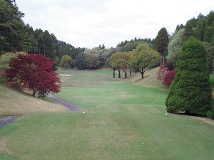 20090420