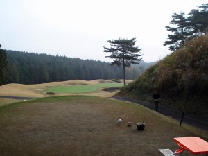 20091108