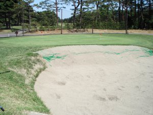 20090428