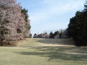 20090403