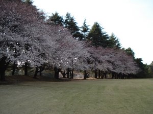 20090403