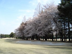 20090403
