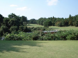20091015