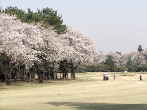 20090407