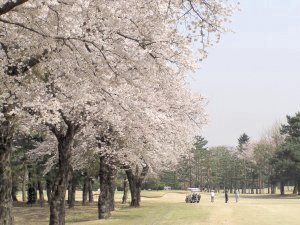 20090407
