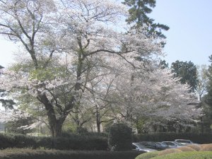 20090409