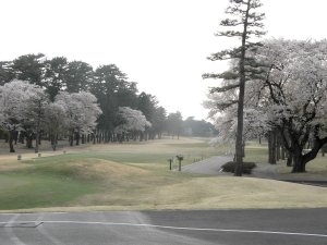 20090409