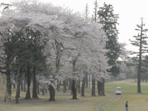 20090409