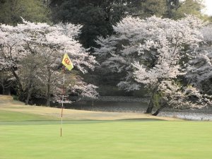 20090409