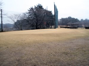 20100316