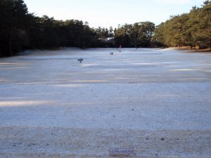 20100204