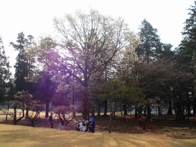 20100320