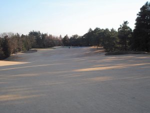 20100117
