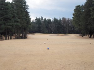 20100128