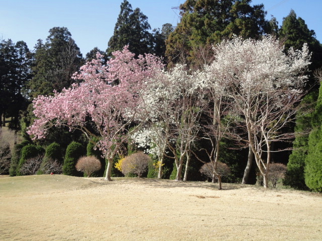 ー