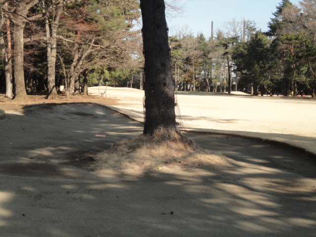 20150305｜大宮ＧＣ